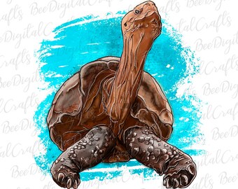 Watercolor turtle PNG download Hand drawn animal sublimation design Summer vocation printable transfer