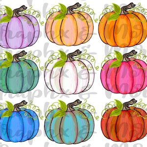 Pumpkins PNG | Sublimation Design | Hand Drawn