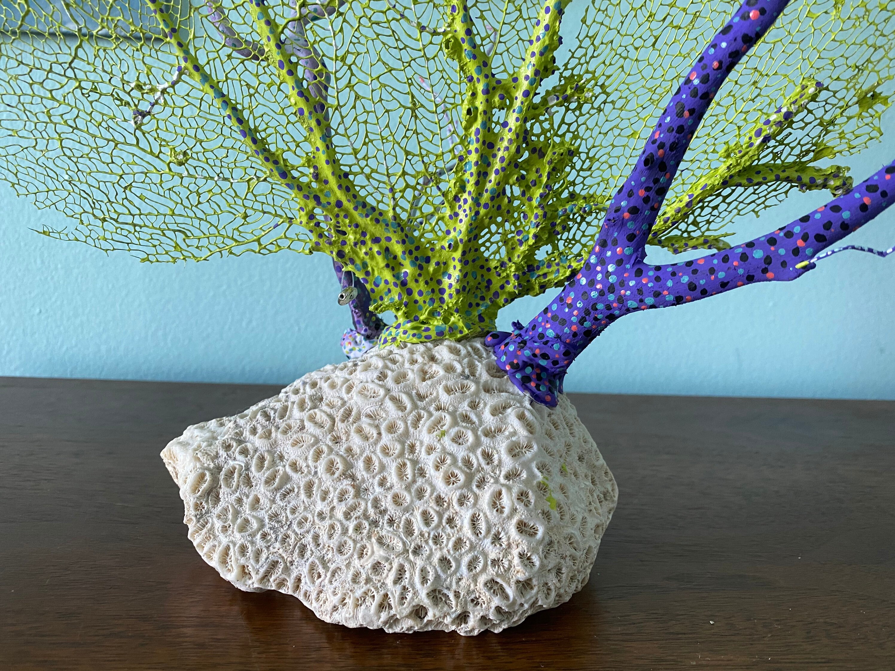 Real Sea Fan Coral Sculpture - Etsy Singapore