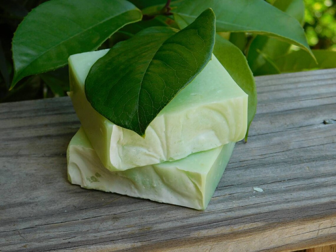 Aloe Vera Unscented Soap Aloe Vera Soap Aloe Soap Etsy