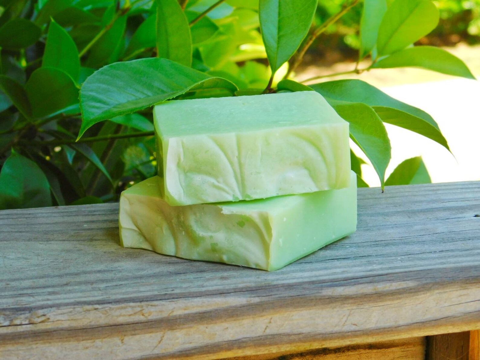 Aloe Vera Unscented Soap Aloe Vera Soap Aloe Soap Etsy