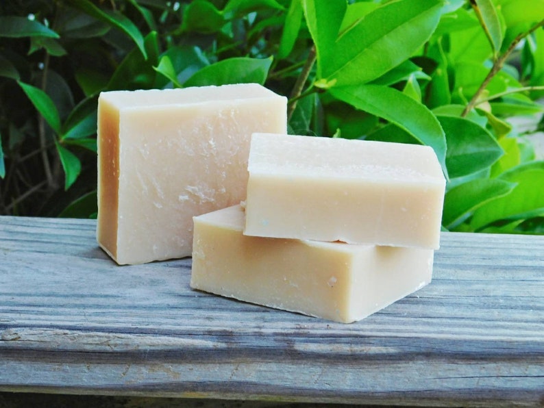 Apple Cider Vinegar Apple Cider Soap Vinegar Soap Etsy
