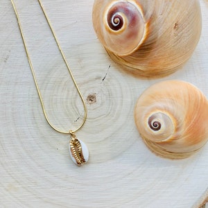 Cowrie shell chain necklace, Gold cowrie shell necklace chain, Snake chain necklace, 18k gold plated necklace, Dainty chain necklace