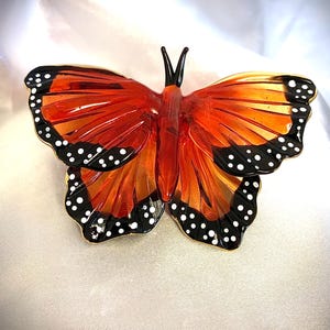 Monarch butterfly