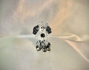 Tiny doodle/ Sheepadoodle/ Golden doodle/ labradoodle