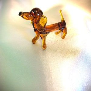 Miniature dachshund