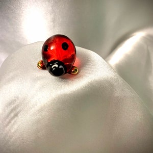 Coccinelle