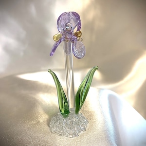 miniatuur glazen iris