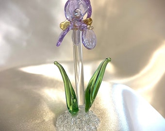 miniature glass iris
