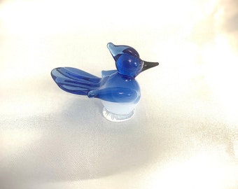 Miniature blue jay bird