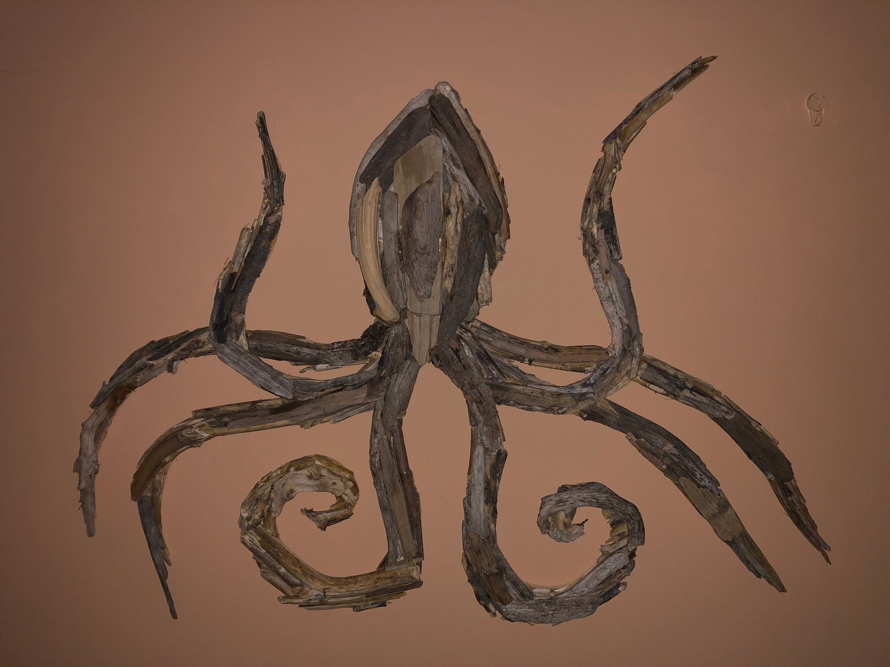 Driftwood Octopi / Octopus Wall Hanging Art Etsy