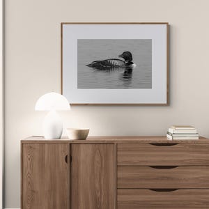 Common Loon Photo, Black and White Print, Fine Art Photo or Canvas, Wall Art, Lake House Decor, Nature Lover Gift, Wildlife, Modern, Rustic
