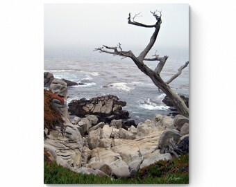 May include: A solitary, gnarled tree stands on a rocky cliff overlooking a misty ocean. The tree's branches reach out towards the water, creating a dramatic silhouette against the grey sky.