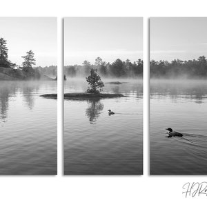 Loons Swimming, 3 Panel Canvas Prints, Triptych, Black and White Lake Print, Ontario, Canada, Common Loons Wildlife Print, Canvas Print