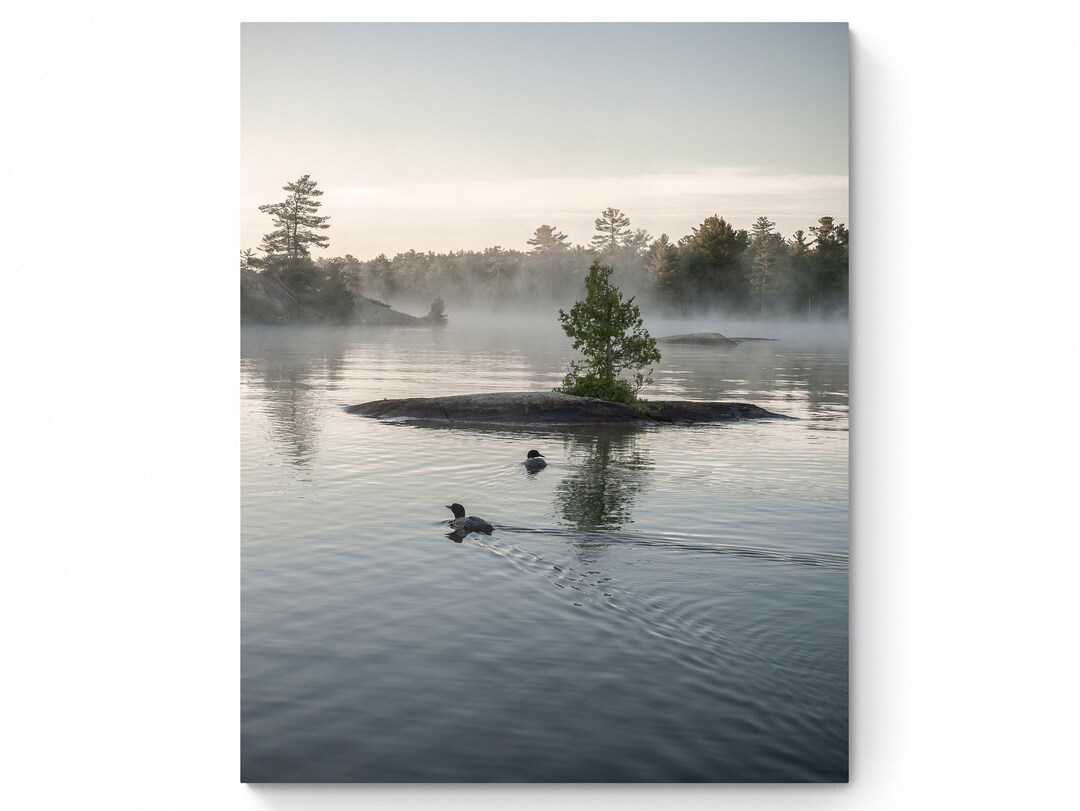 Common Loon Print Wildlife Photography Wall Art Waterbird Etsy