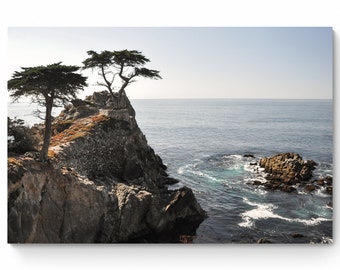 Lone Cypress Tree Photography Print: California Coast Landscape Wall Art