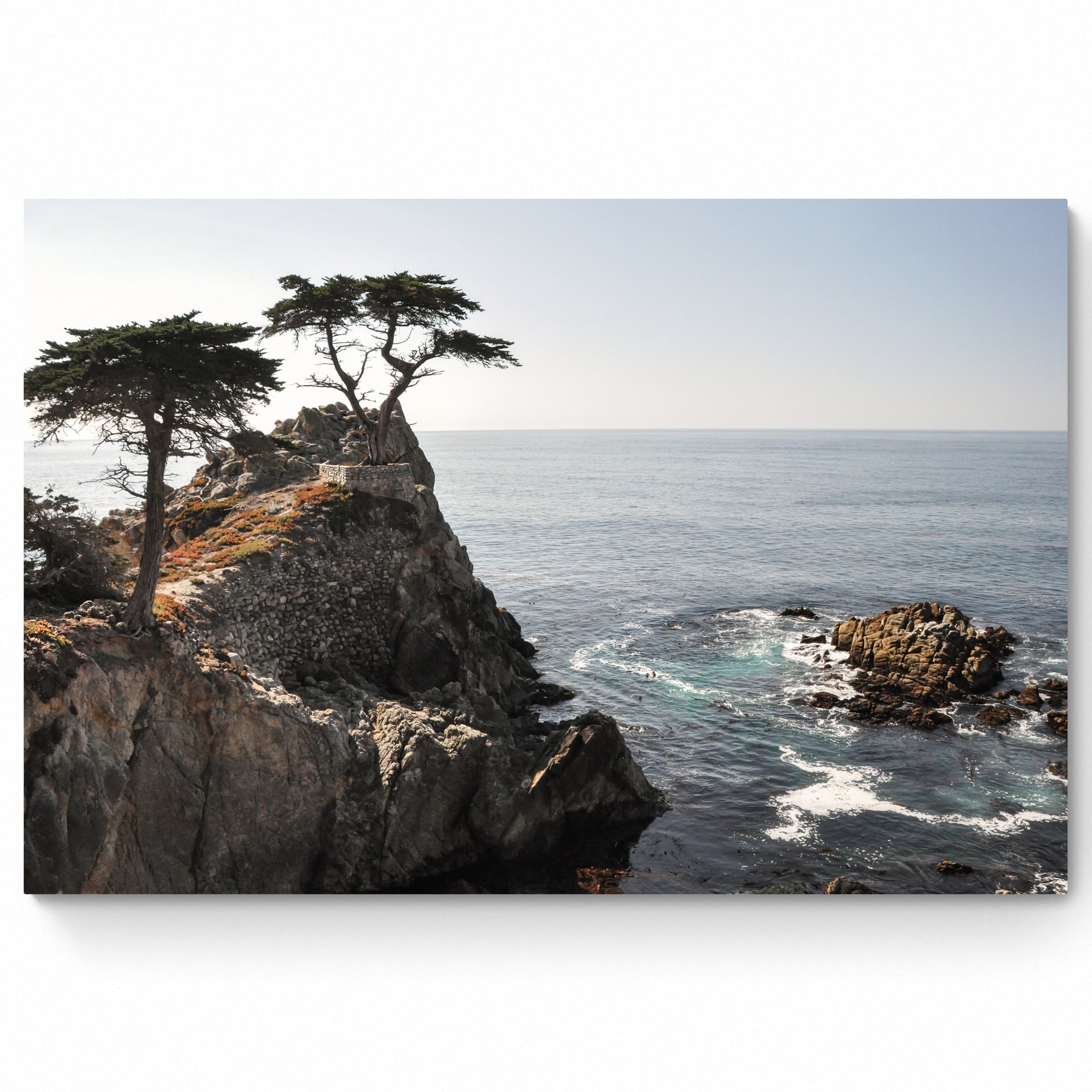 Lone Cypress Art Etsy