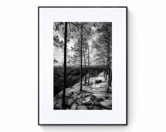 Algonquin Park Print, Lookout Trail, Hiking, Black White Print, Forest Picture, Landscape, Ontario, Fine Art Photo or Canvas Print, Wall Art