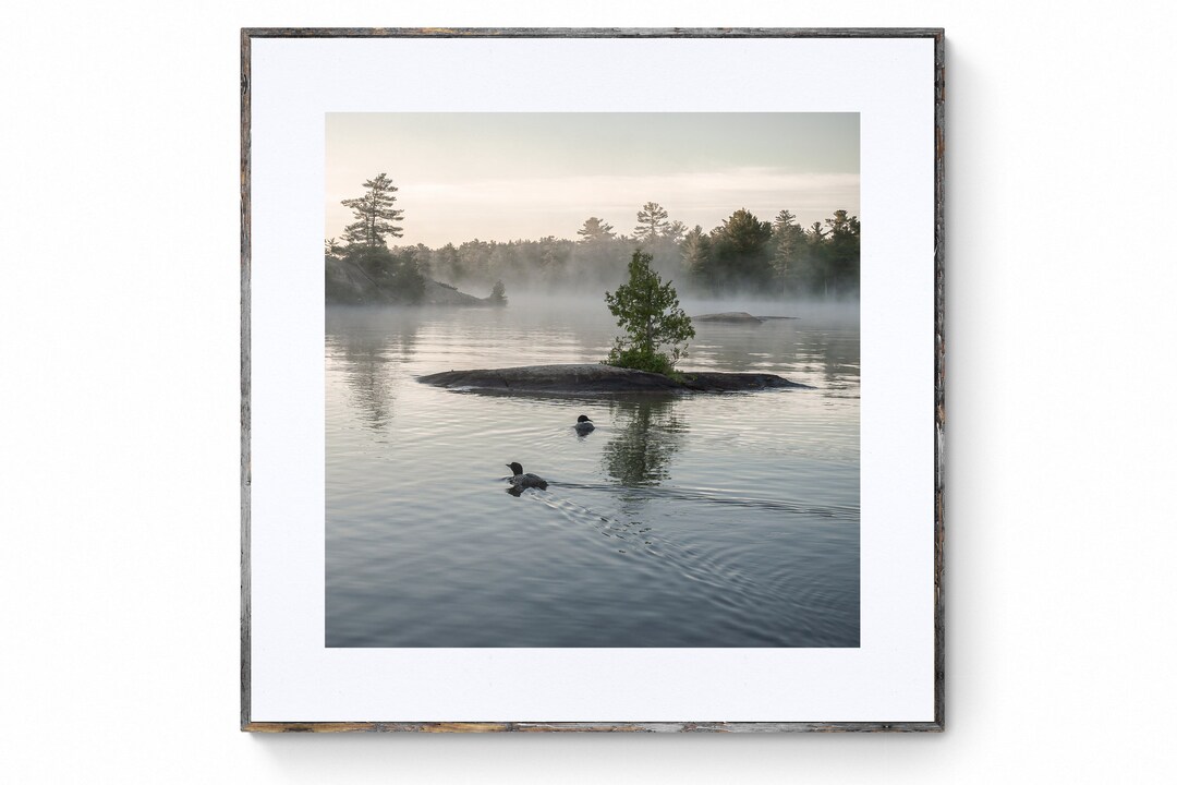 Common Loon Print, Wildlife Photography, Wall Art, Waterbird Landscape