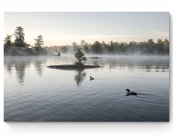 Common Loon Photography Print, Misty Lake Landscape, Ontario Wildlife Poster, Fine Art Photo or Canvas Options, Wall Art, Cottage Decor