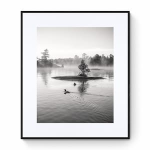 Common Loon Print, Black White, Wildlife Photography, Wall Art, Fine Art Print or Canvas Options, Home, Office, Cottage Decor, Nature Gift