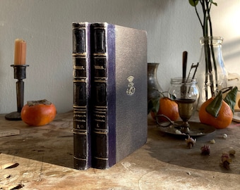 Antique French Book, 1800&#39;s, Alexandre Dumas Impressions de Voyage Le Corricolo Two Volumes, Michel Levy Freres, Paris, 1851