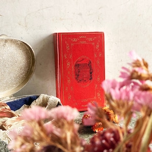 Beautiful Rustic Vintage French Language Red Book: Les Classiques De La Jeuness, Le mystère de la chambre jaune by Leroux Gaston, Paris 1969