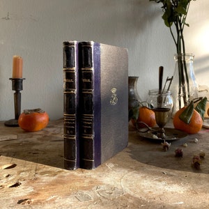 Antique French Book, 1800&#39;s, Alexandre Dumas Impressions de Voyage Le Corricolo Two Volumes, Michel Levy Freres, Paris, 1851