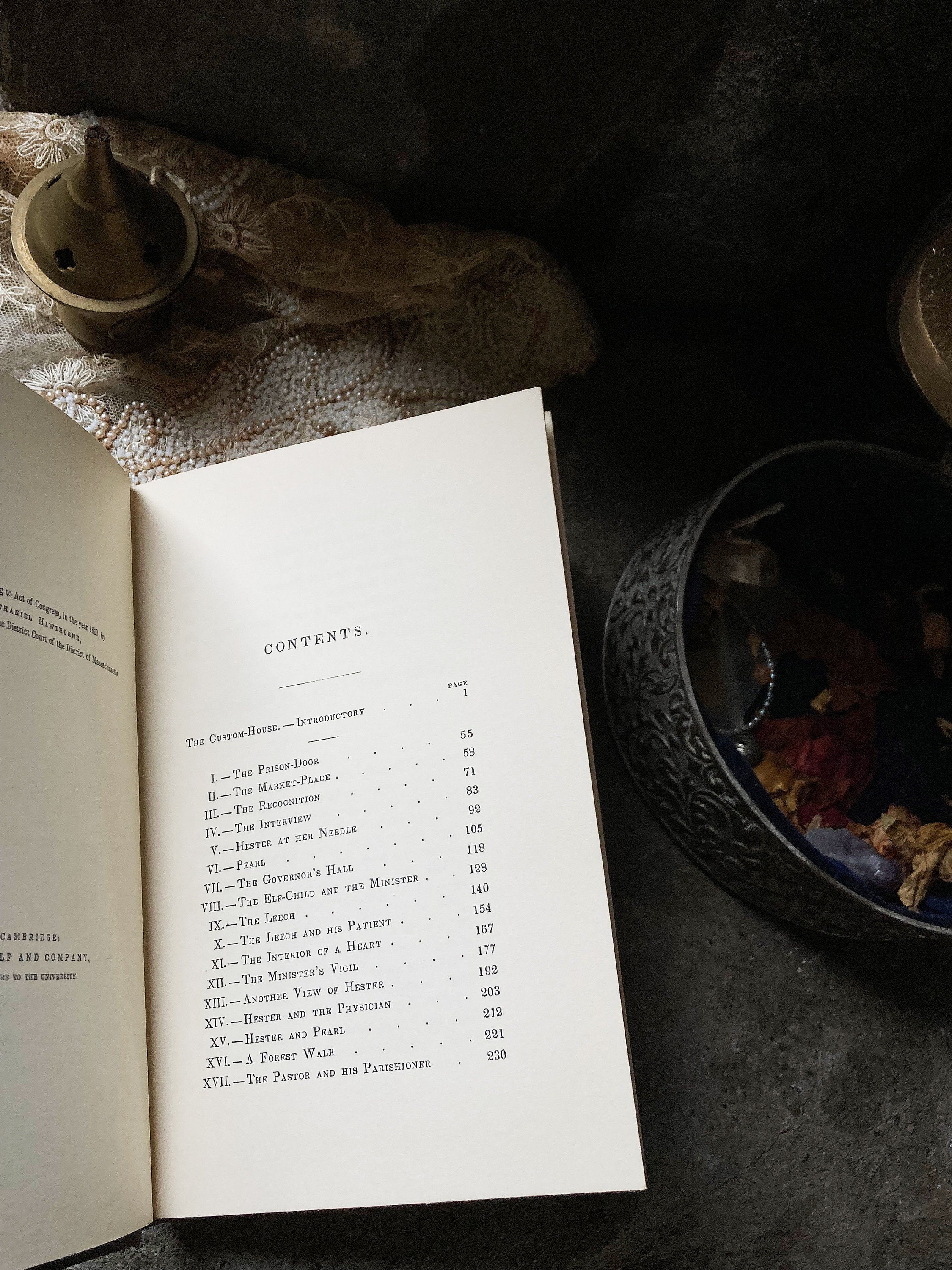 Rare Vintage Gilt Gold Ornate Cover, the Scarlet Letter, Nathaniel