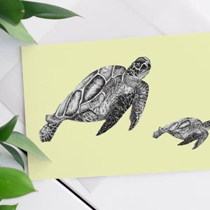 Het 'Zeeschildpad'-kaartenpakket van 10