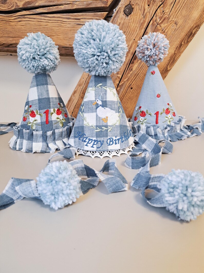 Blue Gingham One Silly Goose Birthday Hat – Custom Embroidered Party ...