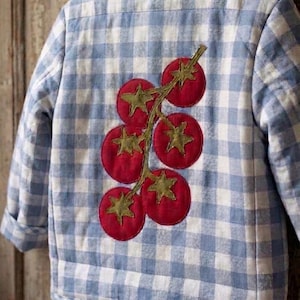 Puede incluir: Chaqueta a cuadros azules y blancos con una aplicación de tomate. La chaqueta está colgada de una percha de madera. Los tomates son rojos con tallos y hojas verdes.