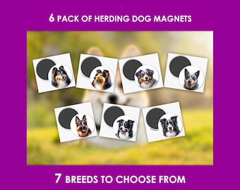 Refrigerator Magnets
