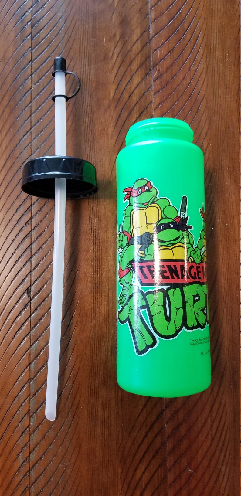 ninja turtle water toys