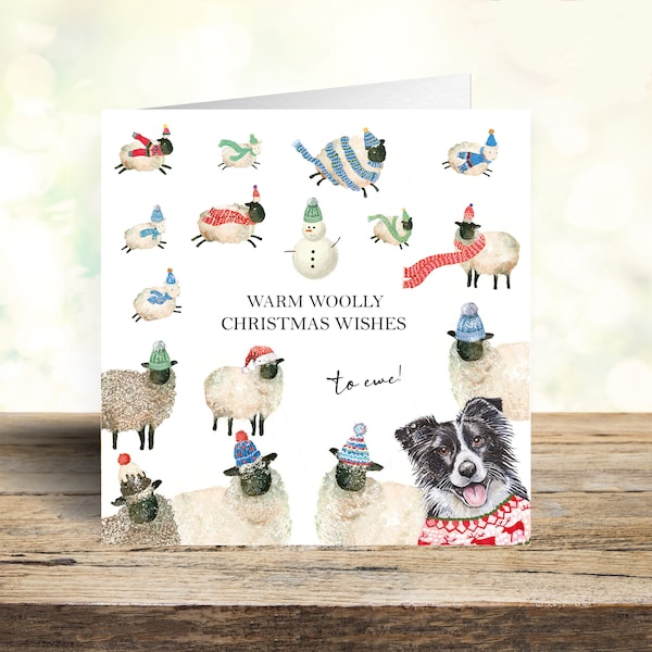 Woolly Christmas Sheep and Sheep Dog Card - Farm Christmas Card - Border Collie Christmas Card
