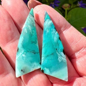 Blue Opal Wood Earring Cabochons, Petrified Wood, Natural Turquoise Blue Matching Pair Stone Cabs for Artisan Jewelry Designs