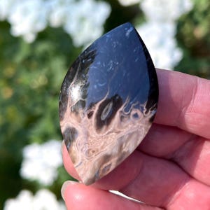 Palm Root Stone Cabochon, Petrified Agatized Fossilized Wood, Stone Cab for Wire Wrapping, Silversmiths, Metalsmiths