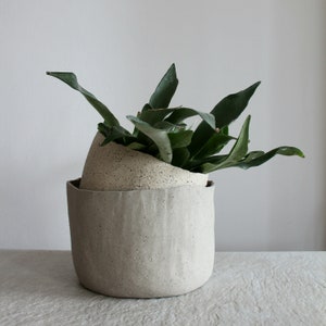 May include: A light gray ceramic planter with a textured surface, containing a green plant with long, thin leaves. The planter is in the shape of an egg.