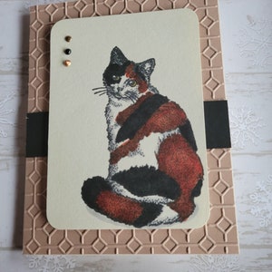 The Cat