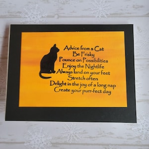 Advies van een kat