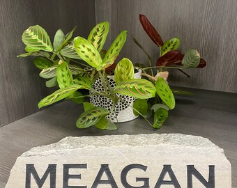 Personalized Name Plate, Employee Appreciation Gift, Employee Gifts, Employee of the Month Awards, Work Milestone, Employment Gift Promotion