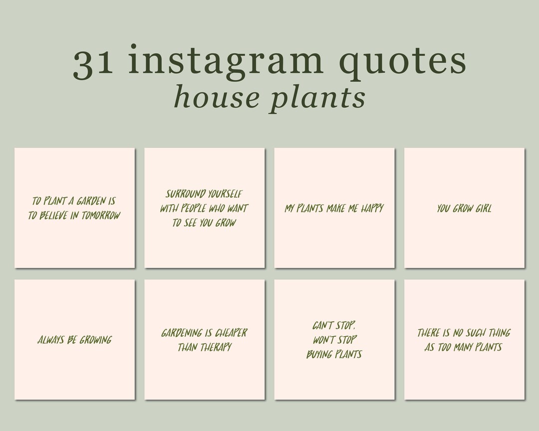 31 House Plant Quotes Premade Instagram Posts Etsy