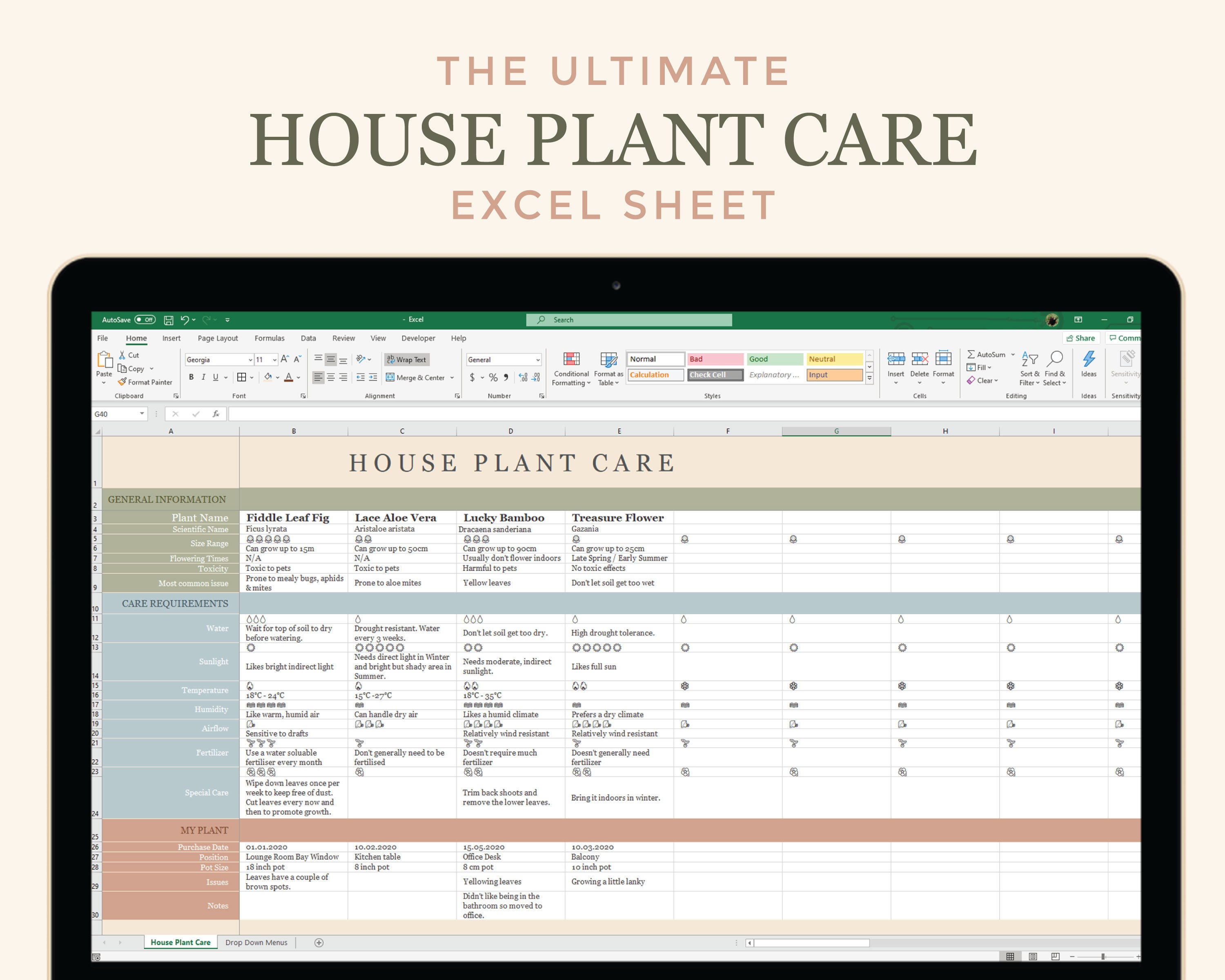 house-plant-care-excel-spreadsheet-digital-download-etsy