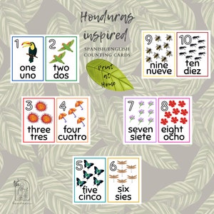 Number Flashcards | Bilingual Spanish and English | Counting Cards | Matching Cards for Toddlers