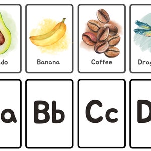 Honduras Inspired Nature Alphabet Flash Cards
