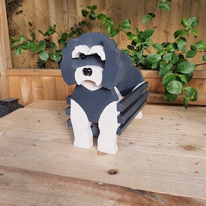 Cavachon Haustier Pflanzer - Hundepflanzer - Geburtstagsgeschenk