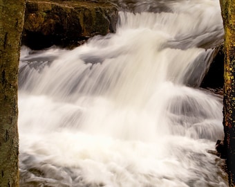 Waterfall and Trees