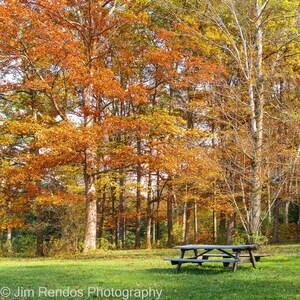 Autumn Park Picnic Table Art Print: Vibrant Fall Foliage Landscape Photography (5x7 to 13x19)