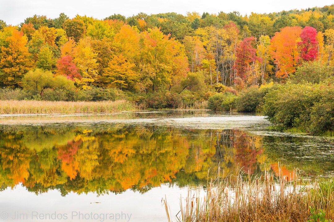 Serene Autumn Pond Reflection: Vibrant Fall Foliage Landscape ...