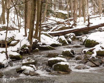Winter Forest Stream Photo, Woodland Landscape Photo Art Print